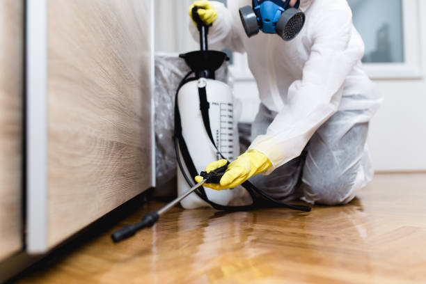 Best Wasp Removal Services  in Laguna Vista, TX