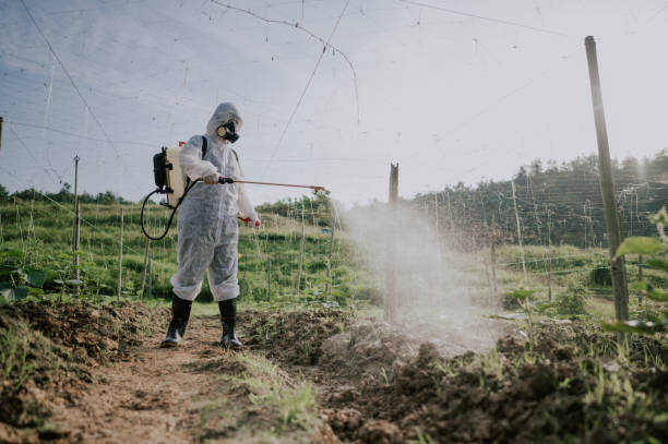 Best Mosquito Control Services  in Laguna Vista, TX