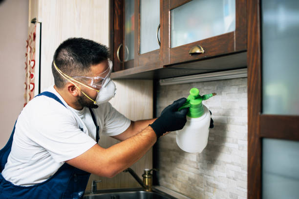 Best Affordable Pest Control Services  in Laguna Vista, TX