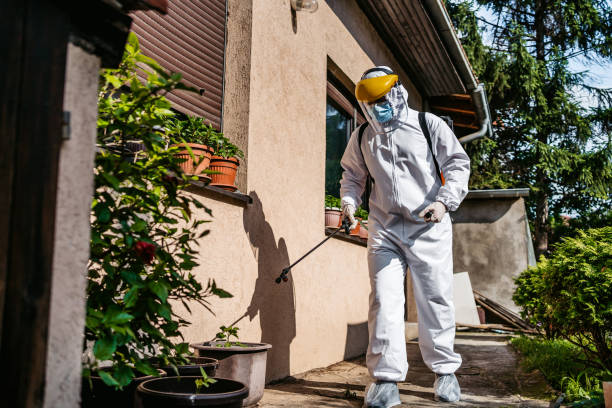Best Flea Control Services  in Laguna Vista, TX