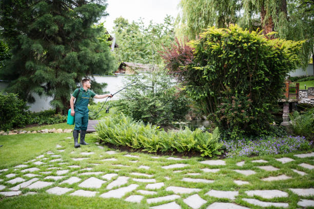 Best Pest Removal Services  in Laguna Vista, TX