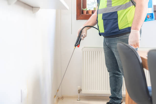 Best Pest Control Near Me in Laguna Vista, TX