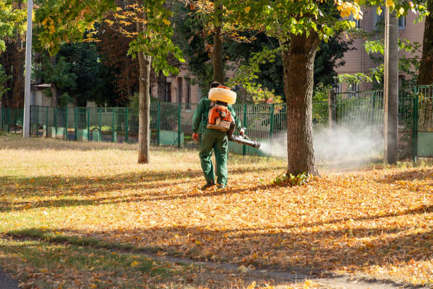 Best Best Pest Control Companies  in Laguna Vista, TX